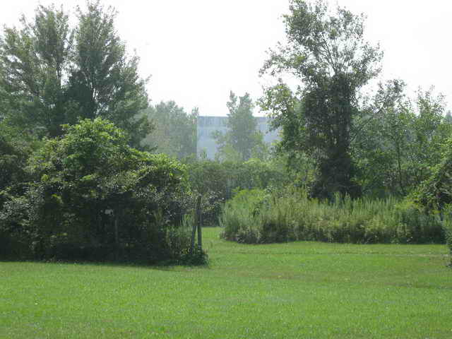 Town and Country Drive-In I & II - 2010 Photo (newer photo)